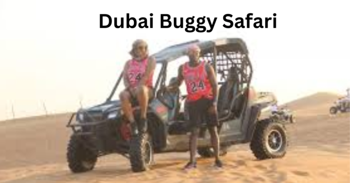 Buggy Safari Should